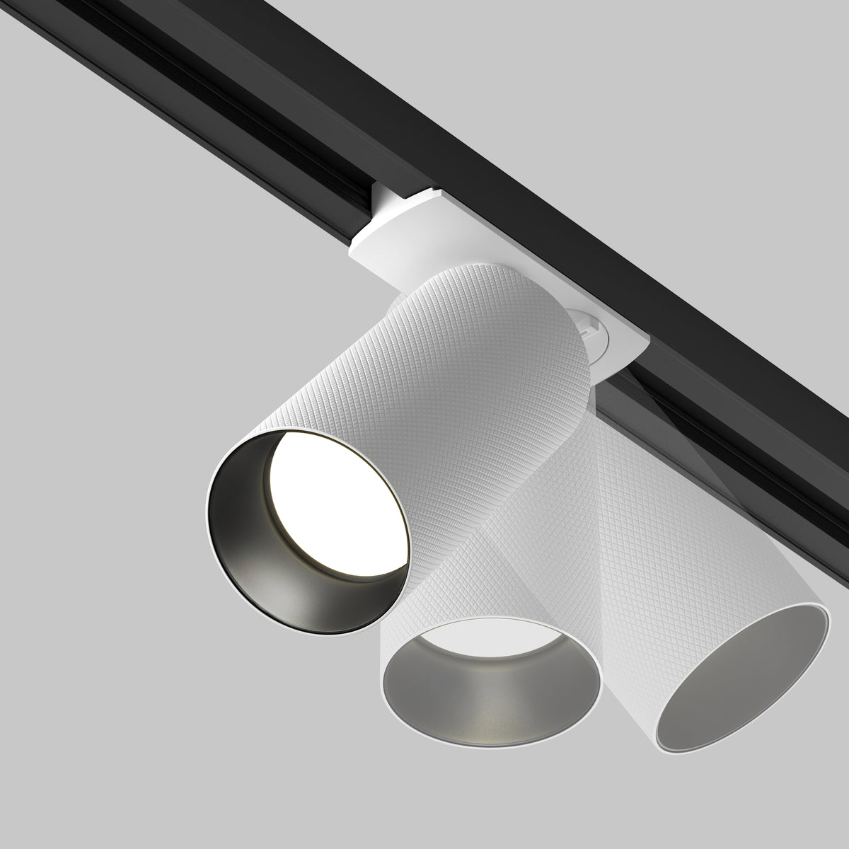 Track Luminaire TR089-1-GU10-WW