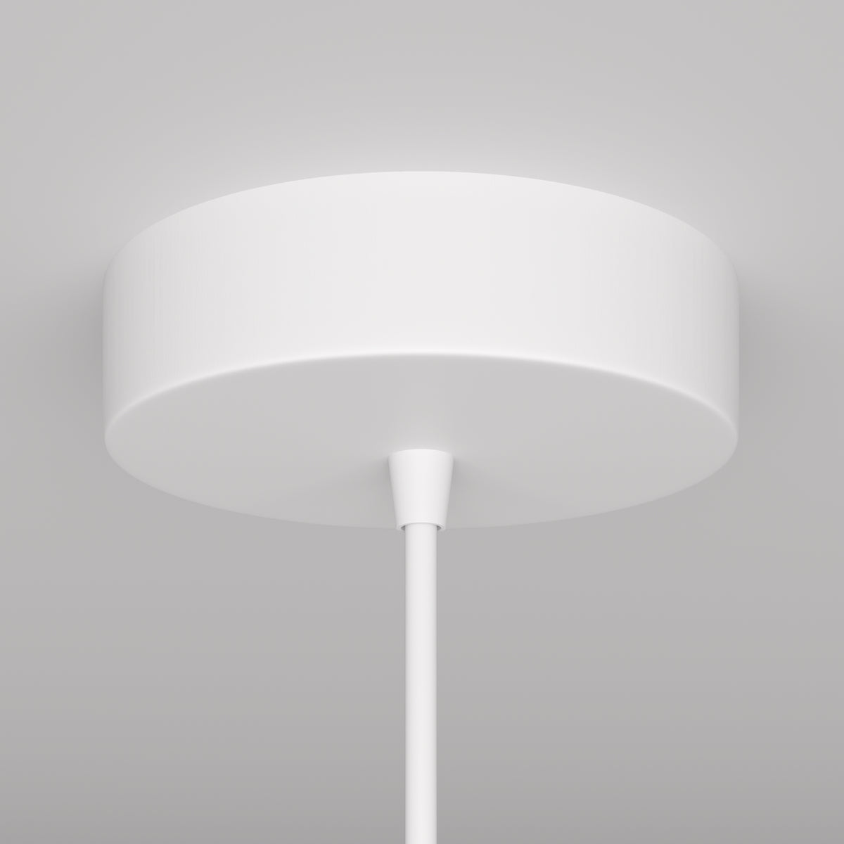 Lampada a sospensione P064PL-01W