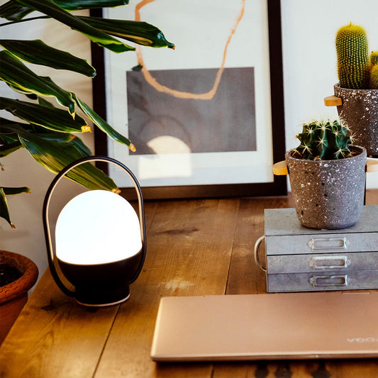 Home office desk with laptop, plant, and decorative items.