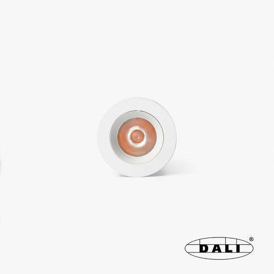 UNO white/white recessed downlight 8W 24° 3000K CRI90 DALI