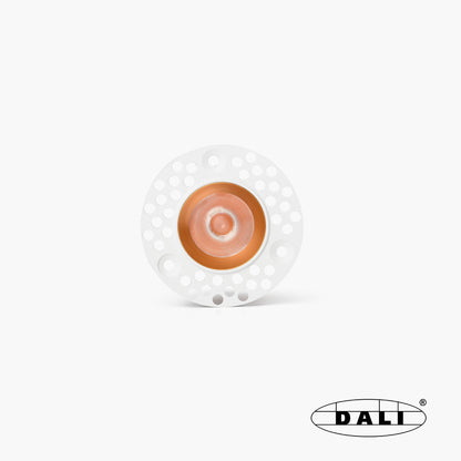 UNO black/gold recessed downlight trimless 8W 24° 3000K CRI90 DALI