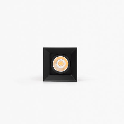 PODIUM moodul DFA must 24° 2700K CRI97 triac