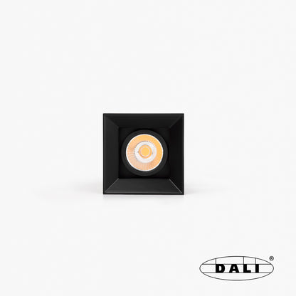 PODIUM module DFA black 24° 4000K CRI97 DALI