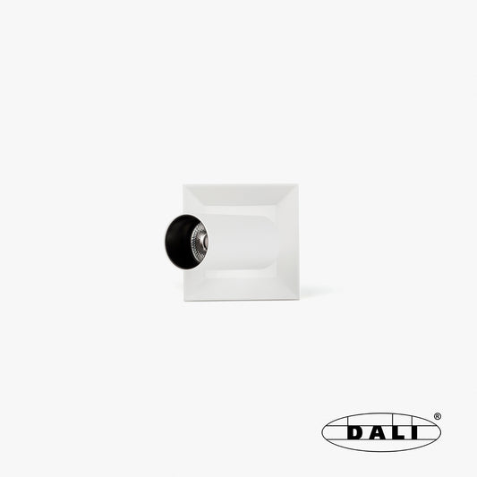 Floodlight PODIUM MOD. PROJ. BL 25° 2700K CRI97 DALI 110V