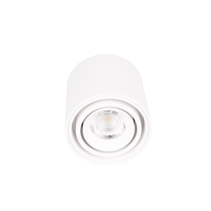 Maxlight C0256 Fix