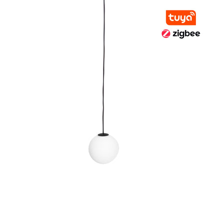 Maxlight M0017Z Magnetic Pendant Globe Zigbee