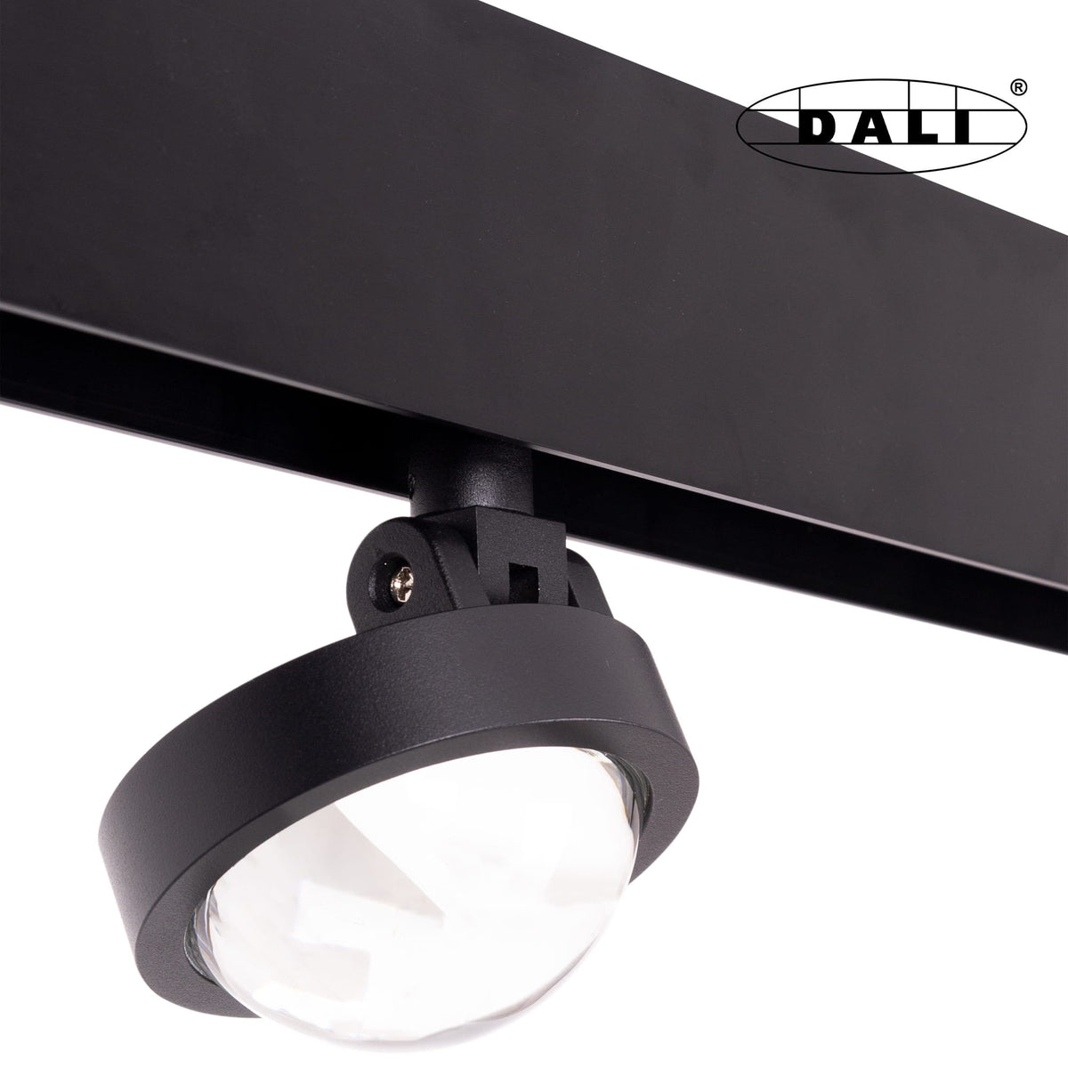 Maxlight M0018D Magnetischer Spot Dali