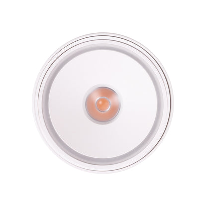 Maxlight C0265 Vector 10 W