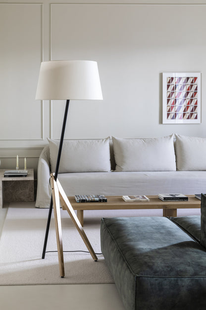 Modern living room with a gray sofa, wooden coffee table, and floor lamp.