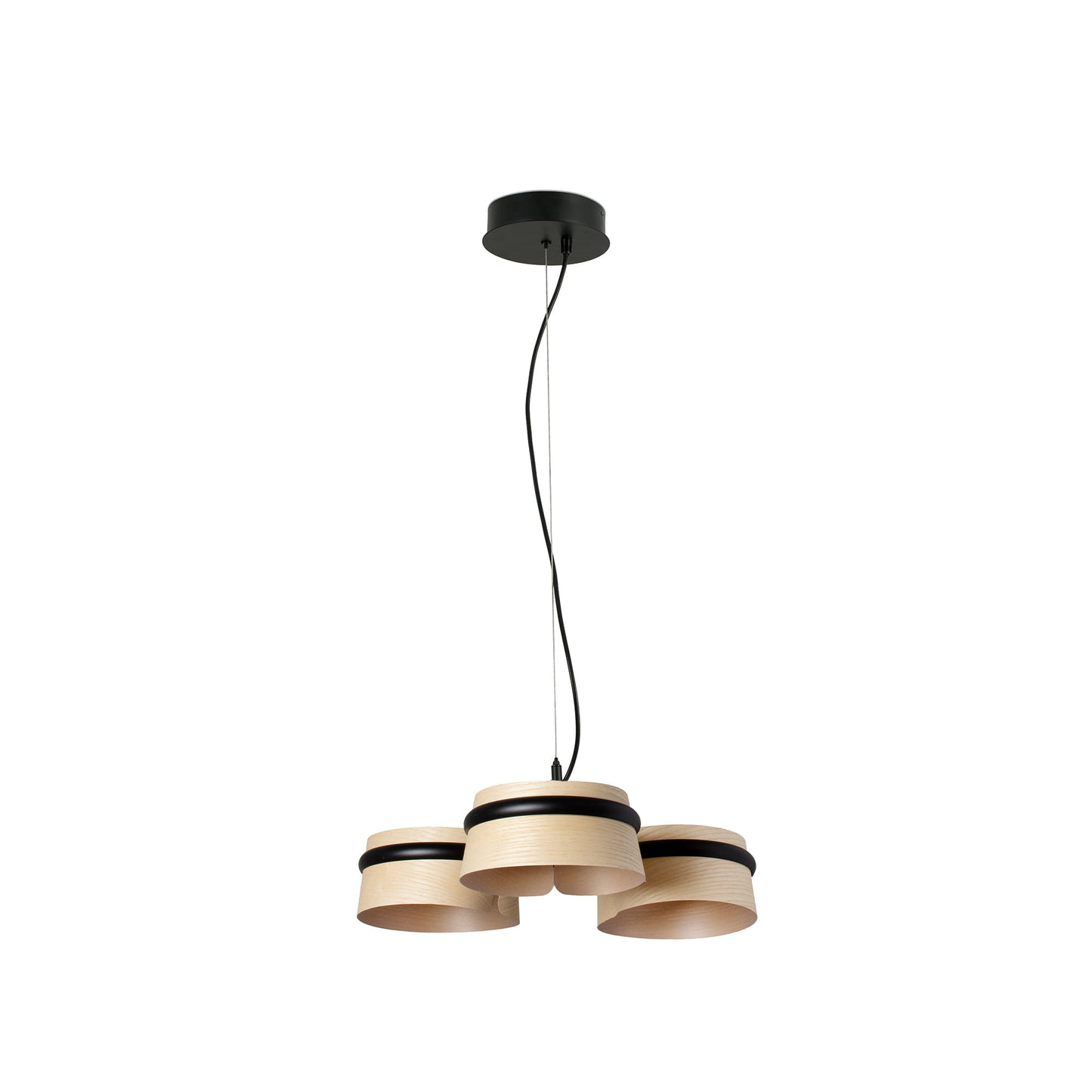 LOOP Ash tree pendant lamp