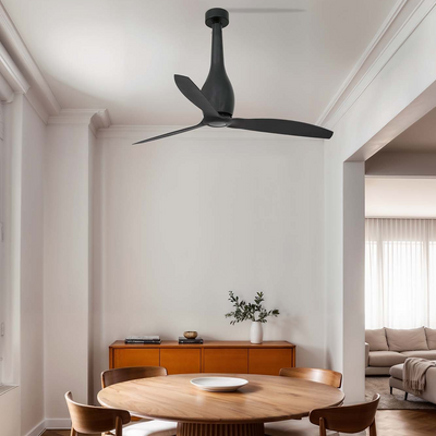 ceiling fans