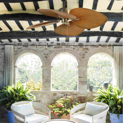 CUBA L Old gold/brown fan