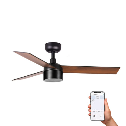 RUDDER TEK 3 S Black/walnut fan 2700K TUYA