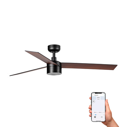 RUDDER TEK 3 L Black/walnut fan 3000K TUYA