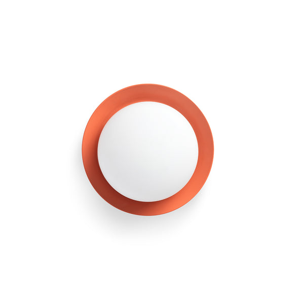 Seinavalgusti MAY CORAL CEILING/WALL LIGHT LED 4W 2700K