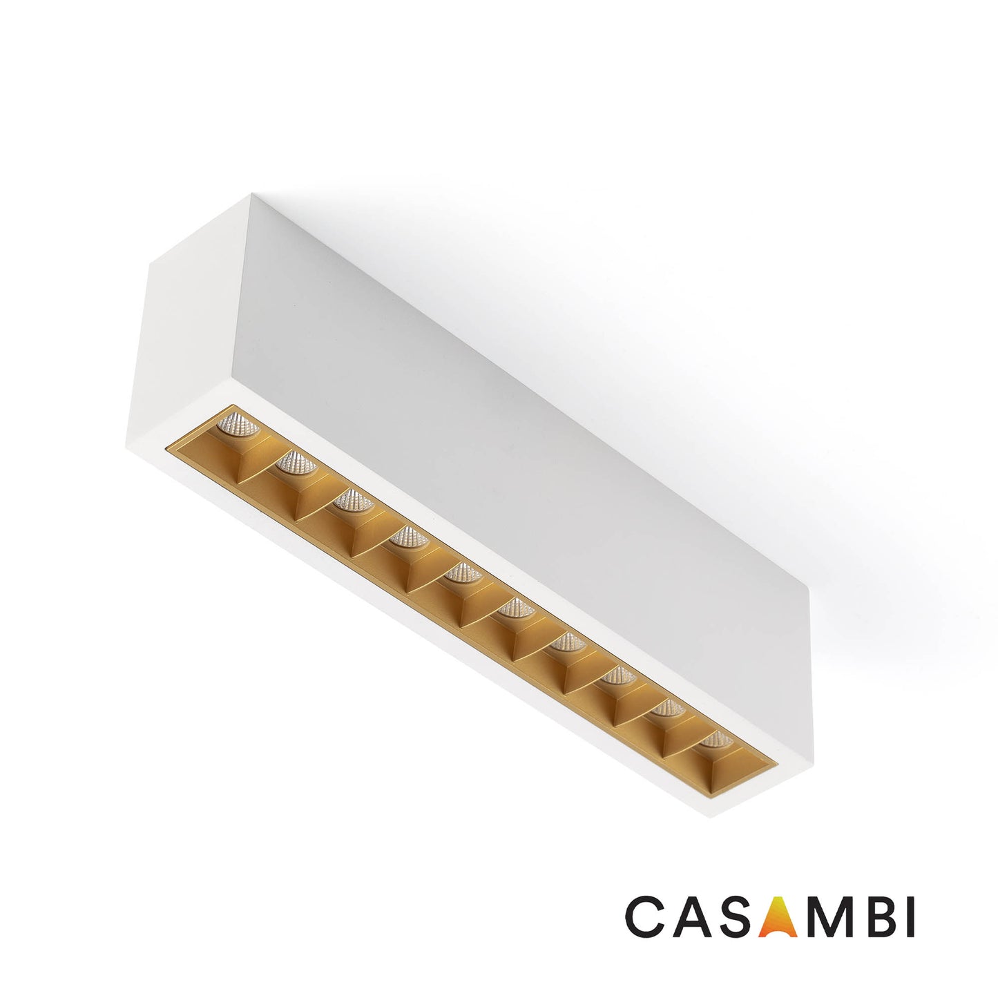 TROOP Pindpaigaldatav 10x2W valge-kuld 36°  2700K CRI90 Casambi