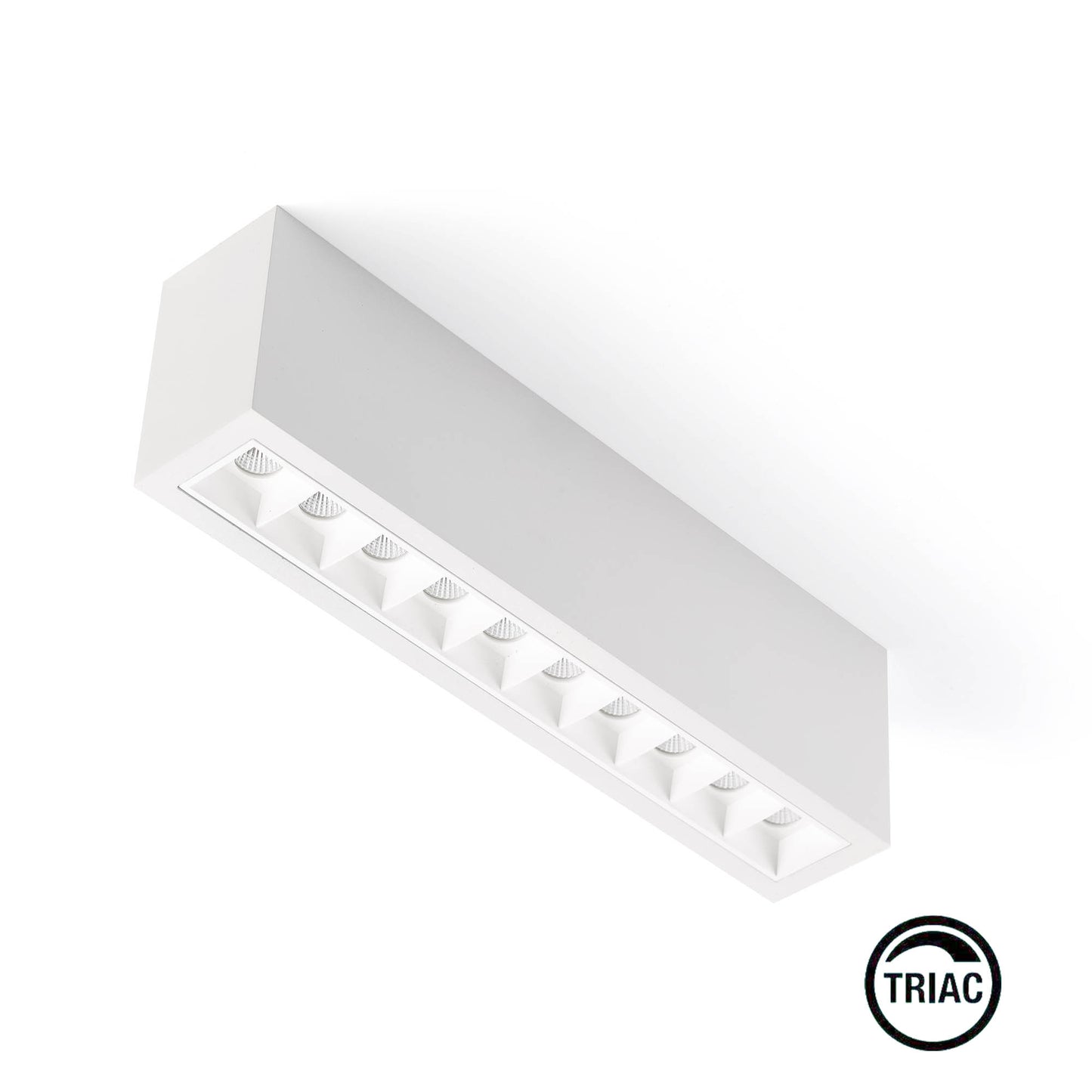 TROOP Pinnale 10x2W valge-valge 48°  2700K CRI90 TRIAC