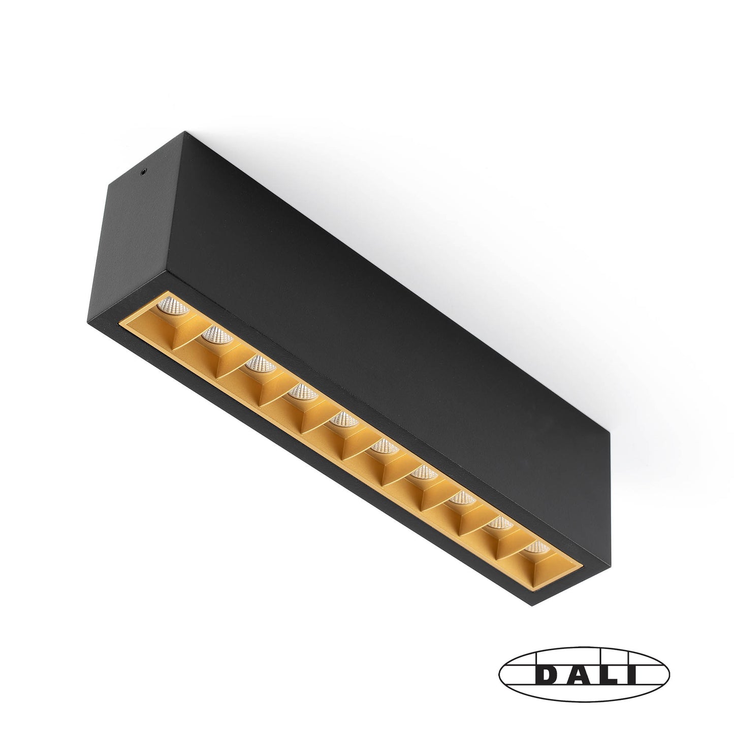 TROOP Superficie 10x2W black-gold 15°  4000K CRI90 DALI