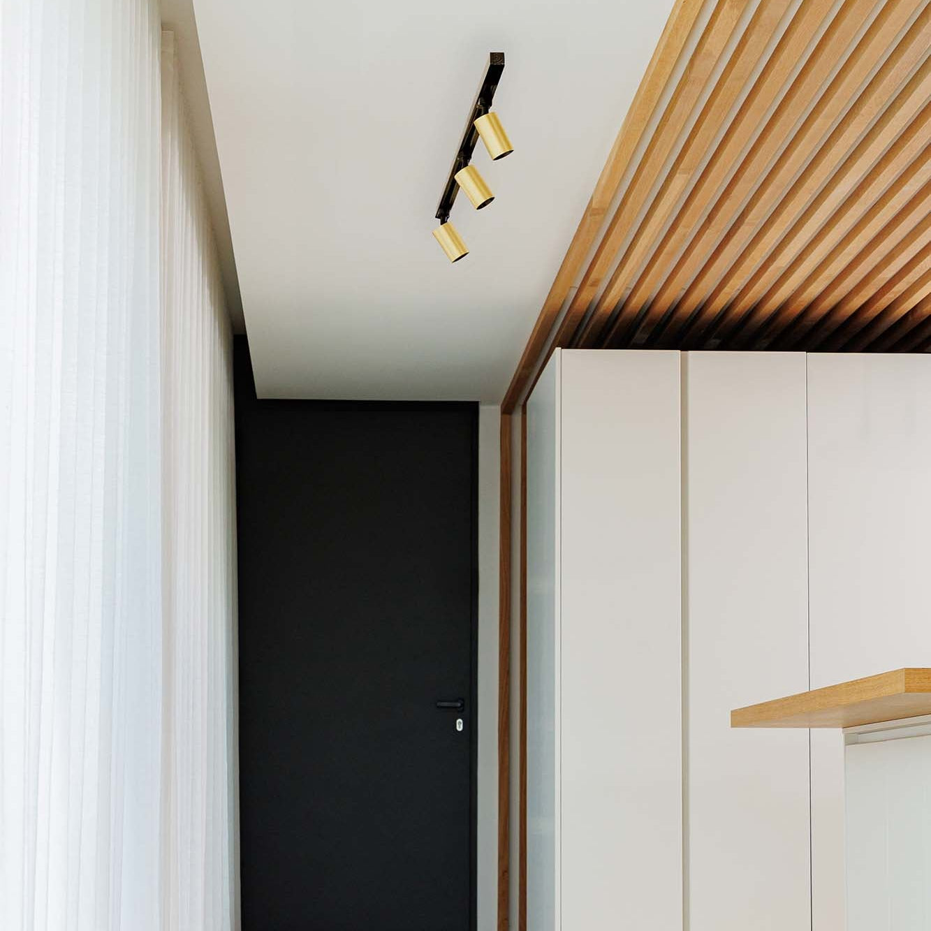 Modern interior hallway with black door, white walls, and wooden ceiling slats.