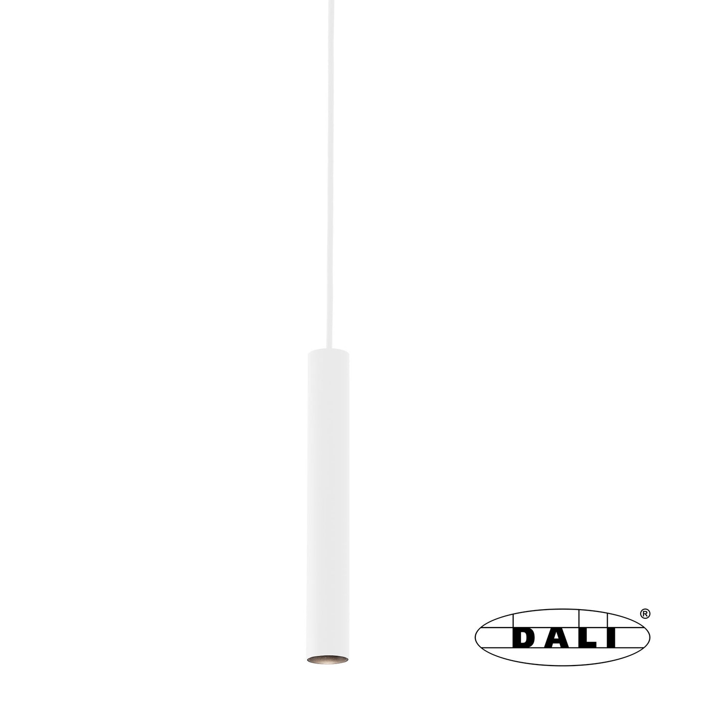 NESO TOP 2700K 40° white DALI