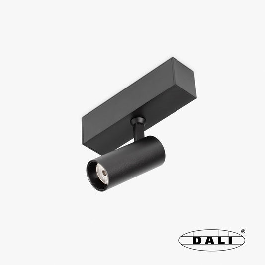 Floodlight NESO HOLE-5W 2700K 20 DEGREES BLACK DALI