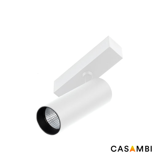 Floodlight NESO HOLE-10W 2700K 36 DEGREES WHITE CASAMBI