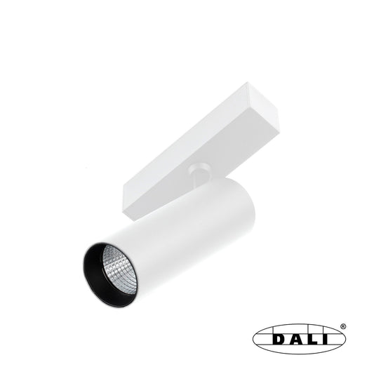 Floodlight NESO HOLE-10W 3000K 18 DEGREES WHITE DALI
