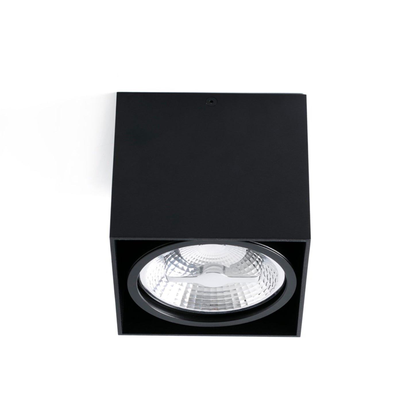 TECTO 1L AR111 must laelamp