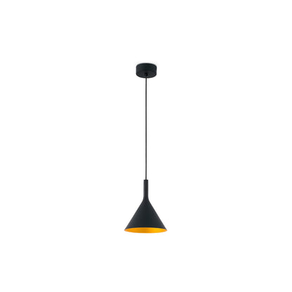 PAM 165 Black and gold pendant lamp