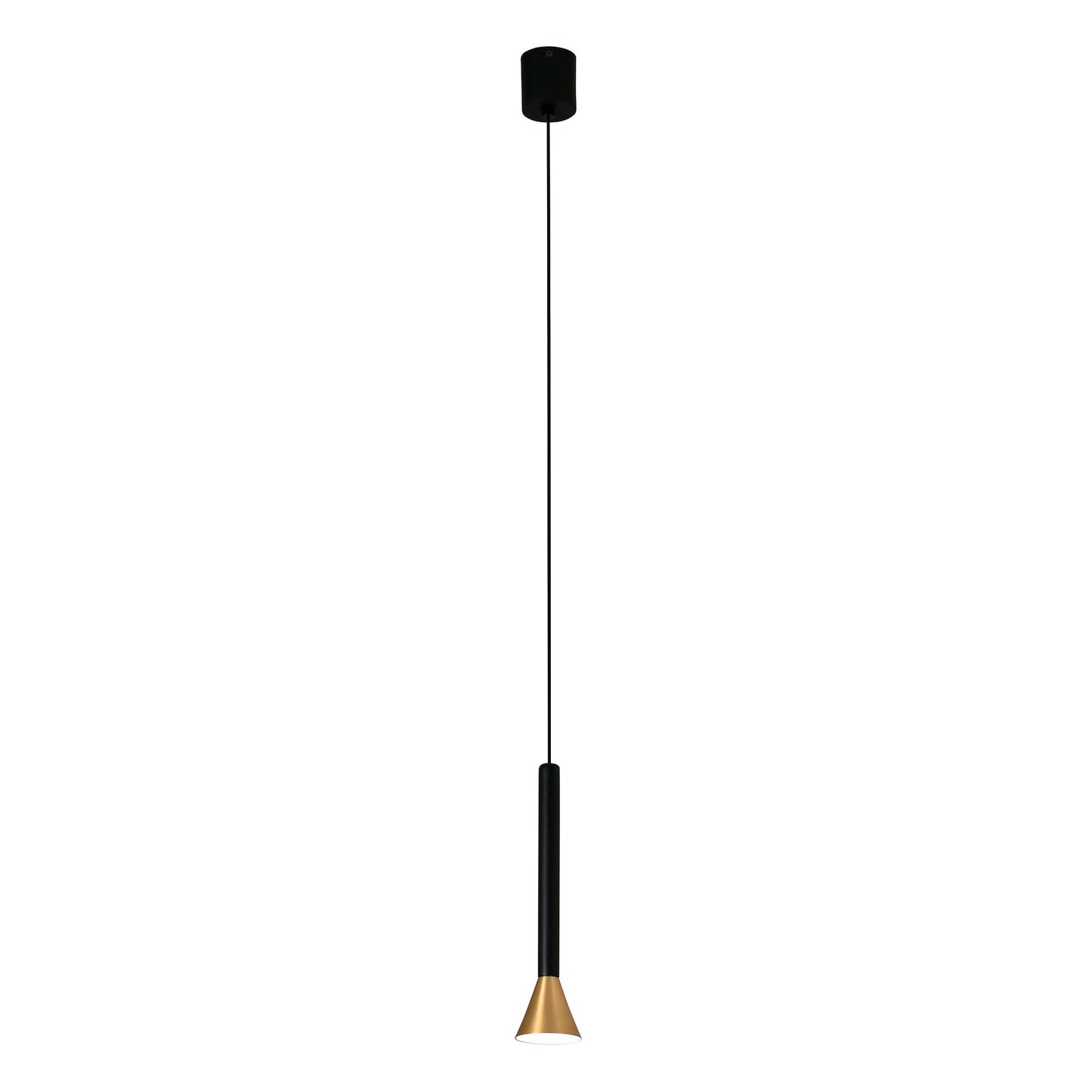 DANKA Satin gold pendant lamp