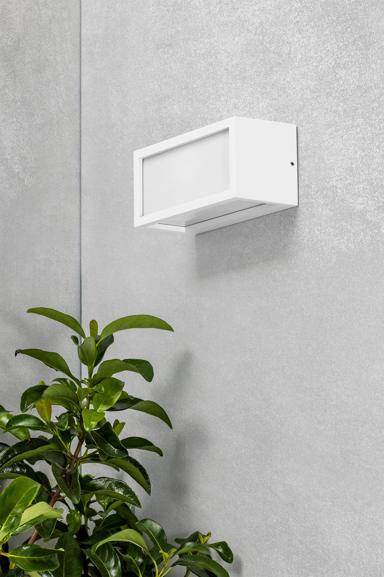 TEJO White wall lamp