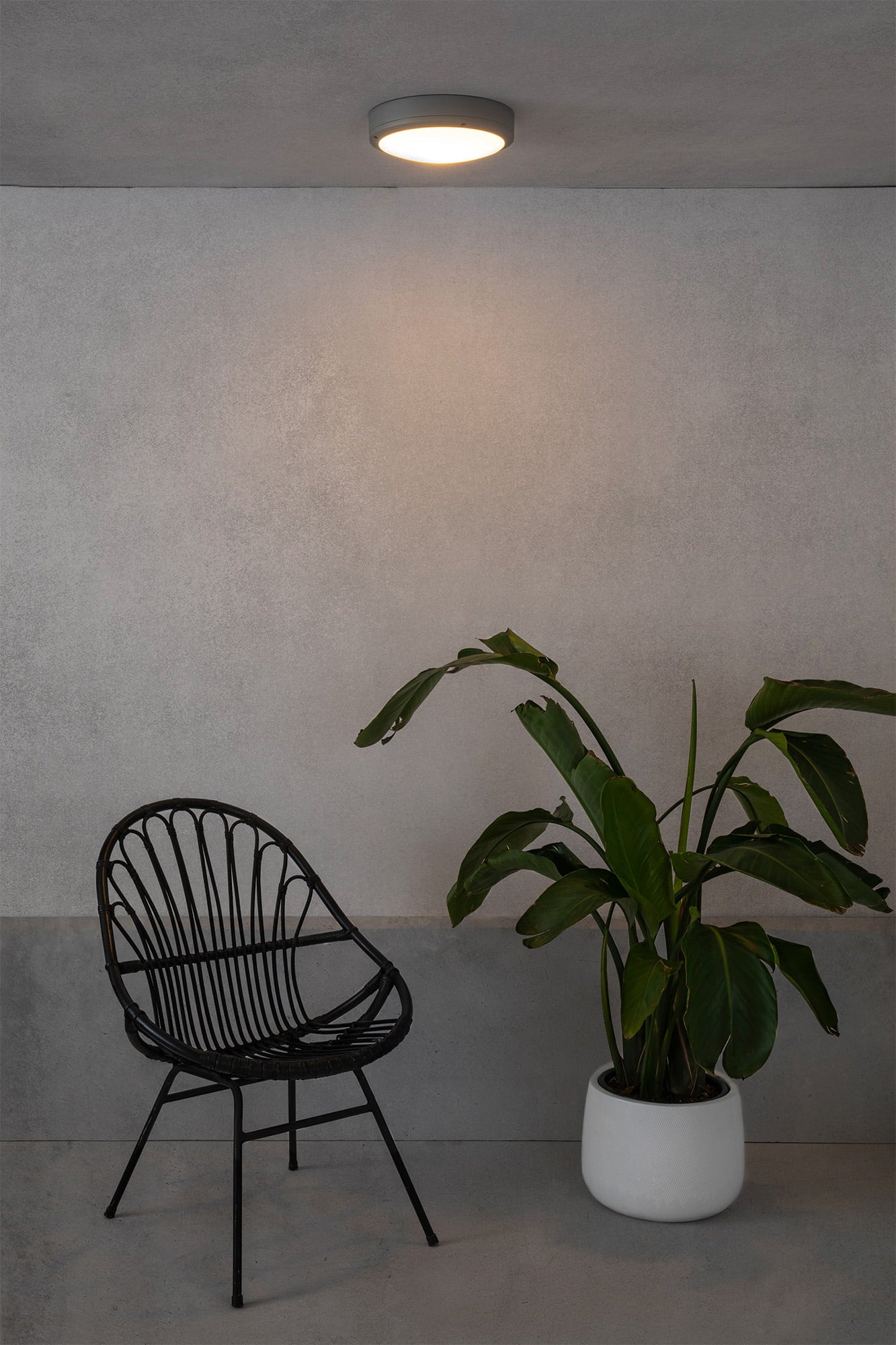 YEN Grey celing lamp