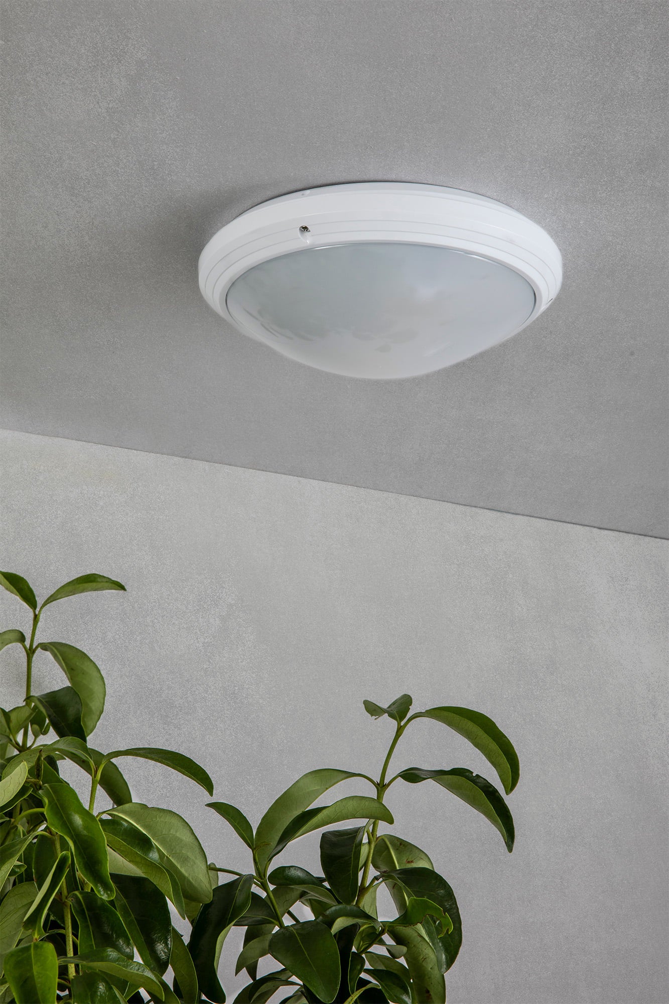 DAKRON White celing lamp