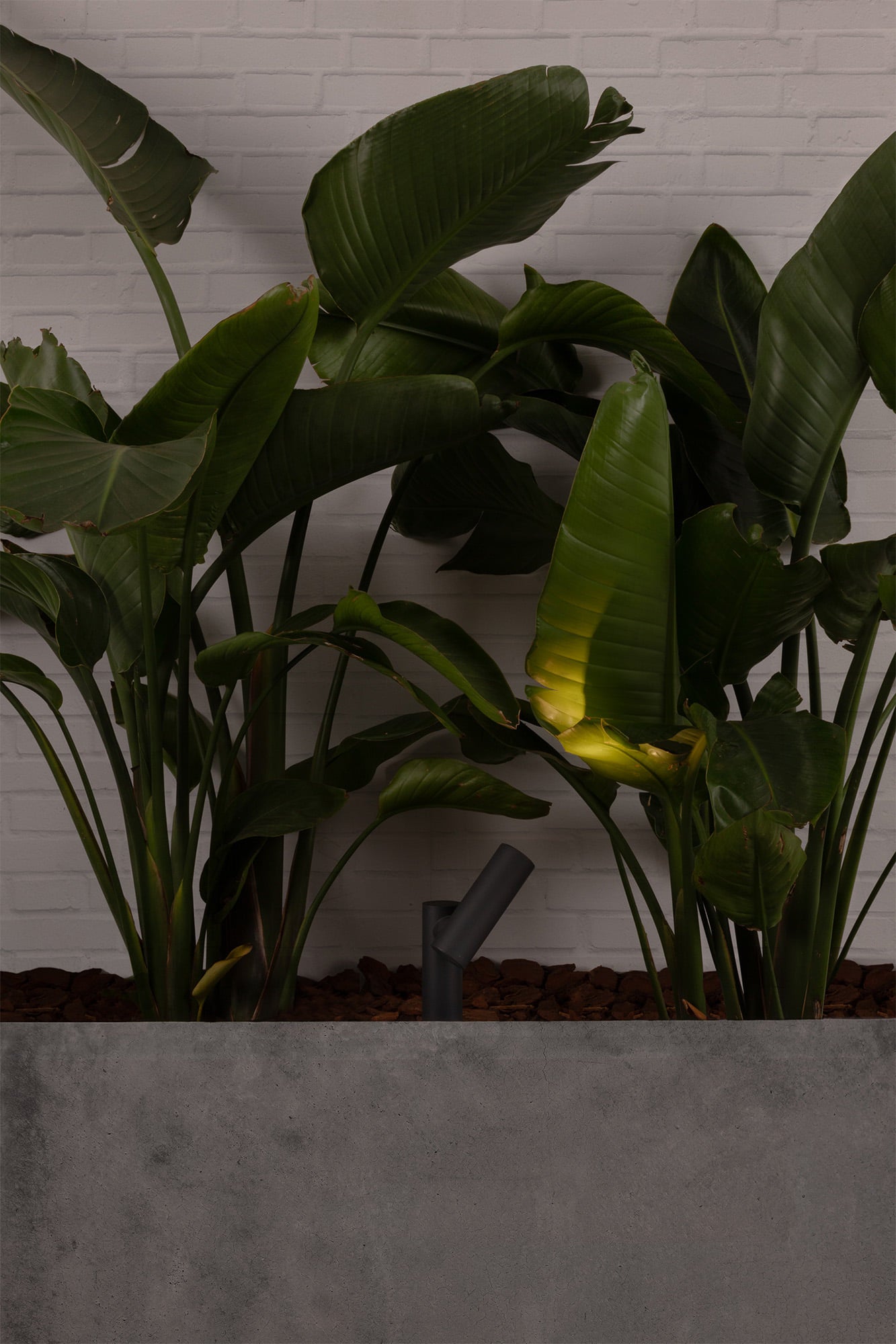 SPY 145 Dark grey spike lamp