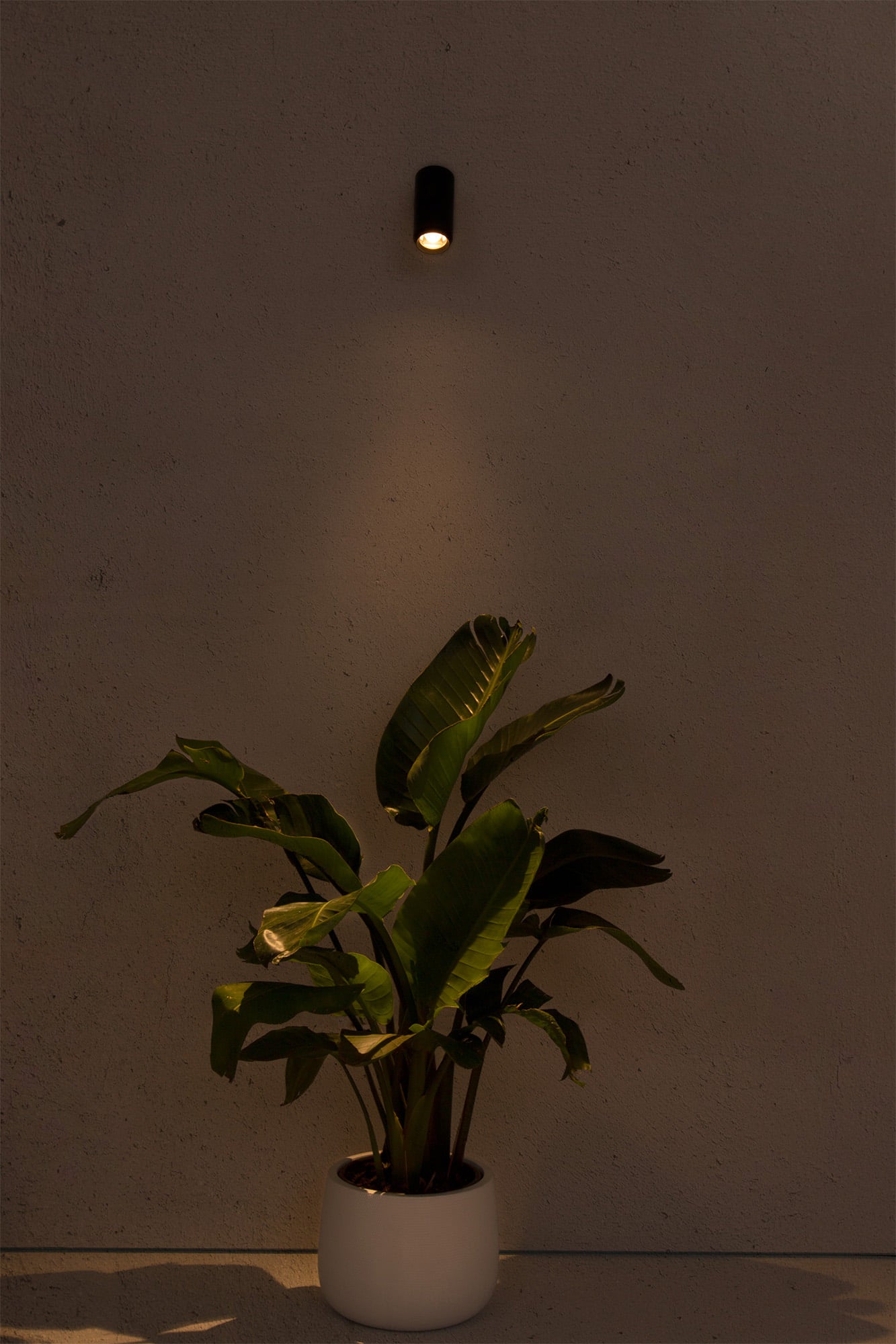 PLOM Dark grey projector lamp