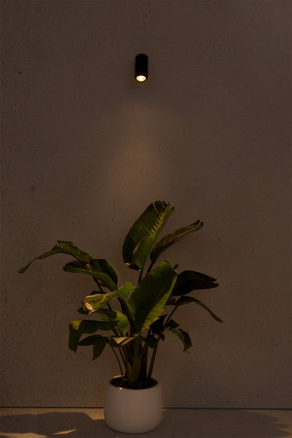 PLOM Dark grey projector lamp