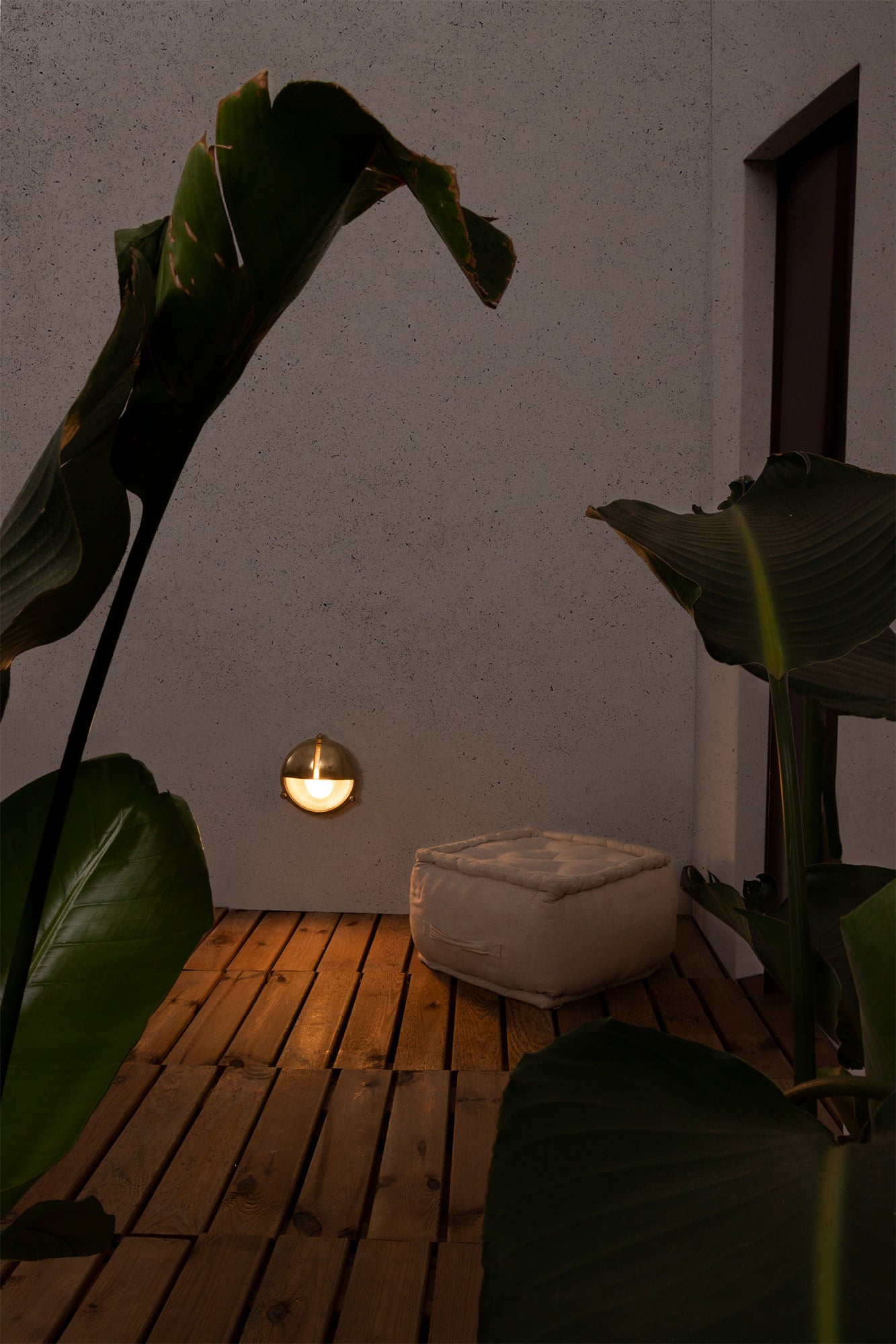 TIMON Brass wall lamp