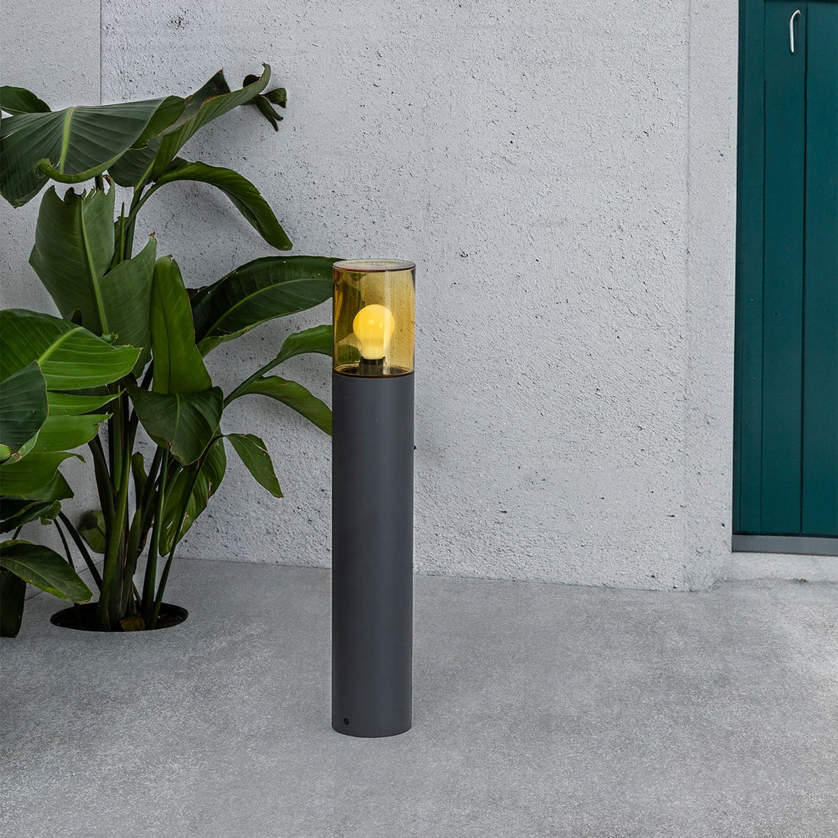 Tall cylindrical outdoor light fixture next to a plant against a concrete wall with a green door.