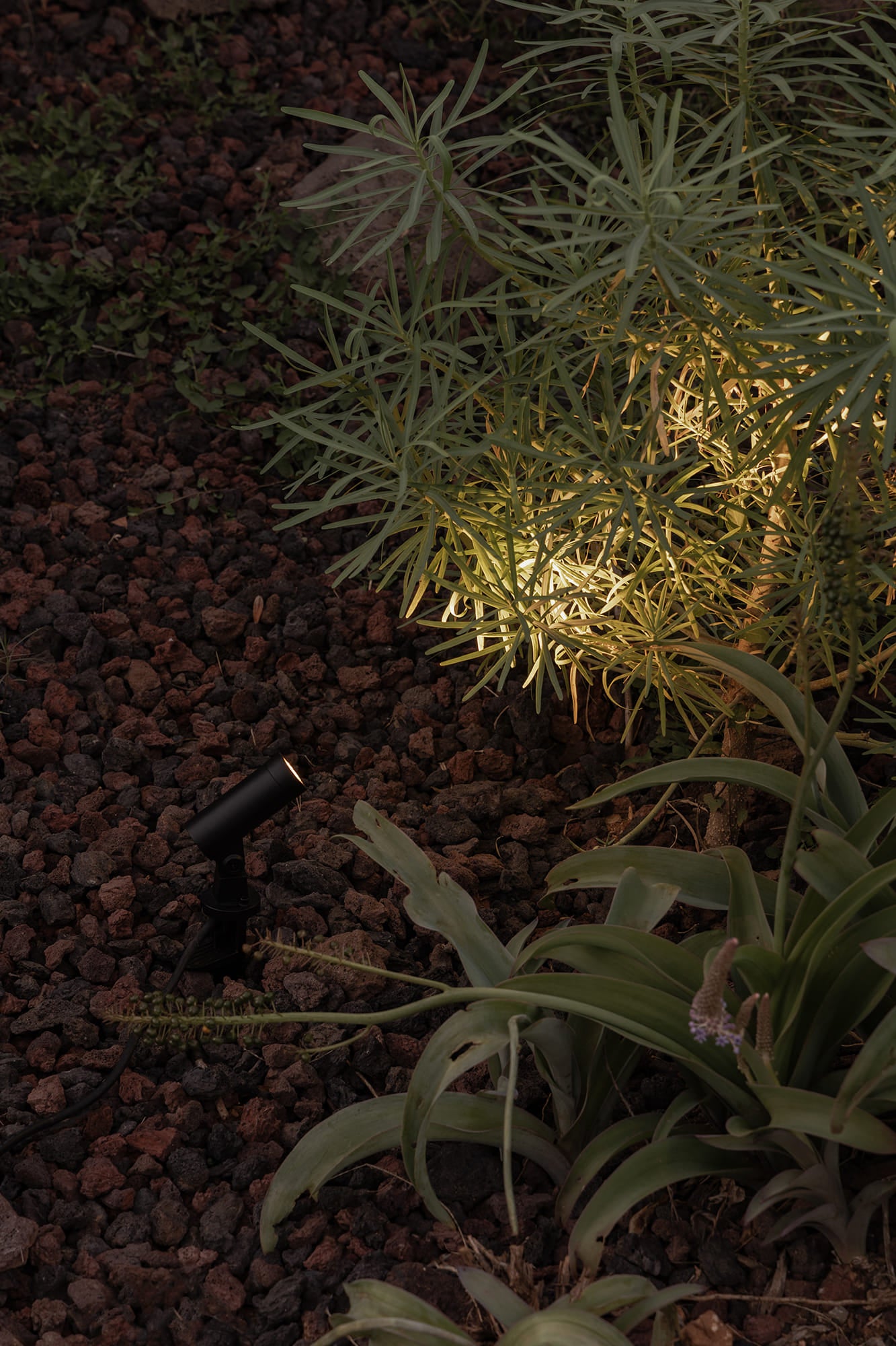 SAU XS 85 Spotlight/stake black 3000K 30º 24V