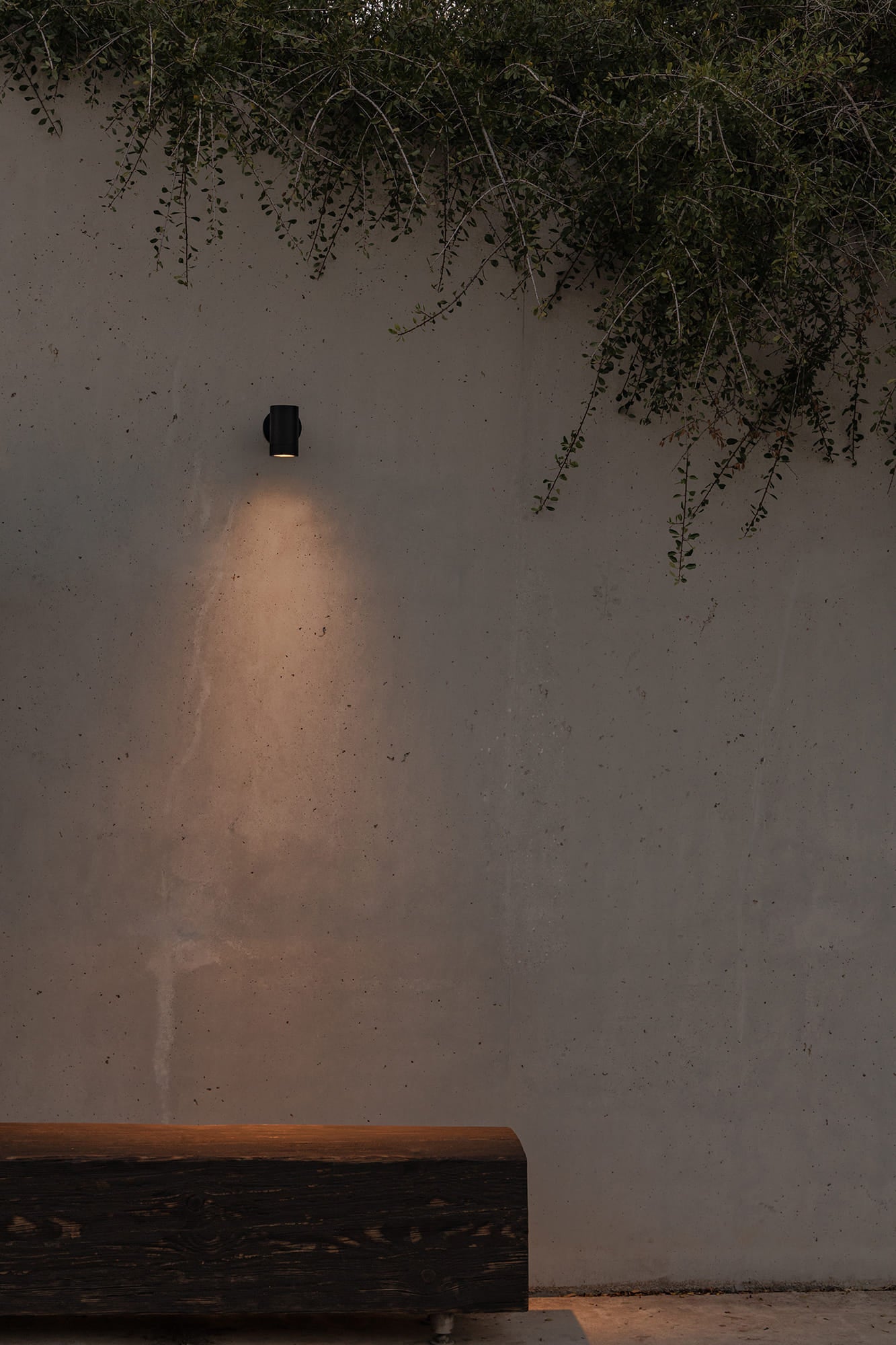 SAU M 155 Black projector 3000K 10º