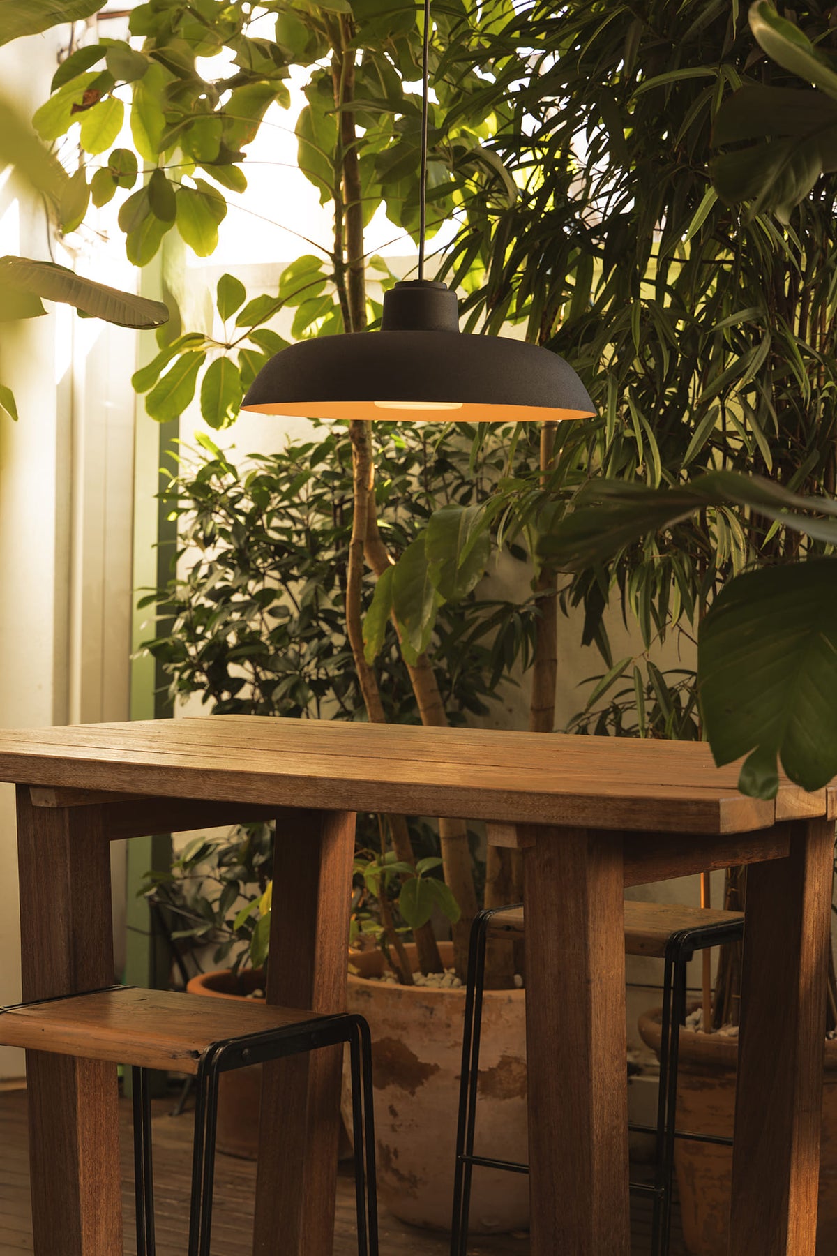 Wooden table with a black pendant light surrounded by green plants
