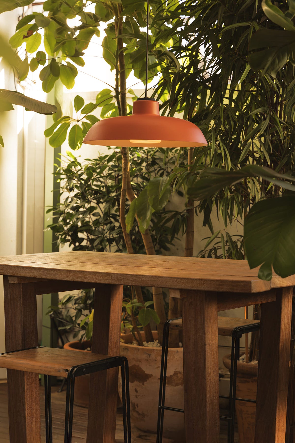 Wooden dining table with a red pendant light in a room with plants