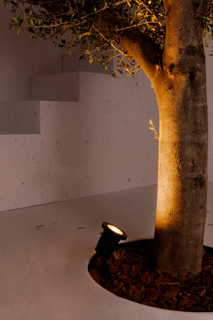 Tree trunk illuminated by a spotlight in a minimalistic indoor setting