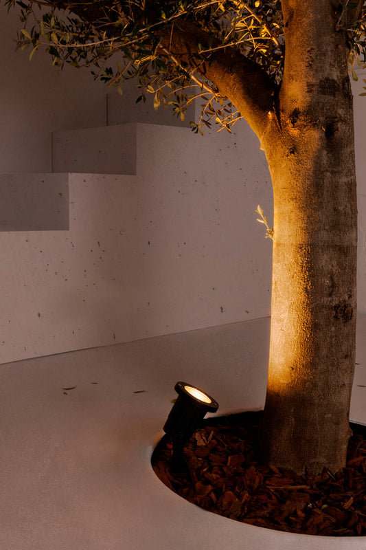 Tree trunk illuminated by a spotlight in a minimalistic indoor setting