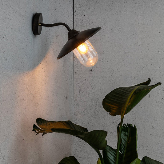 Wall-mounted light fixture on a white wall with a plant in the foreground