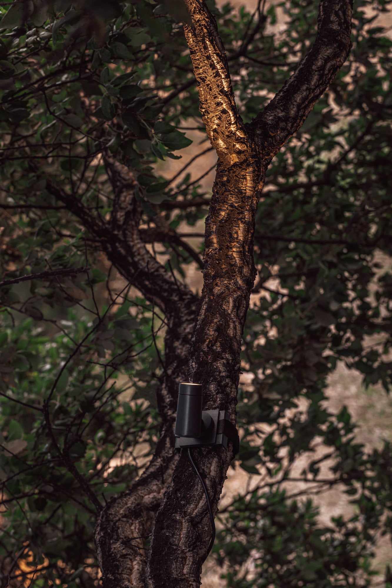 PUK 36/59 Tree must tarvik