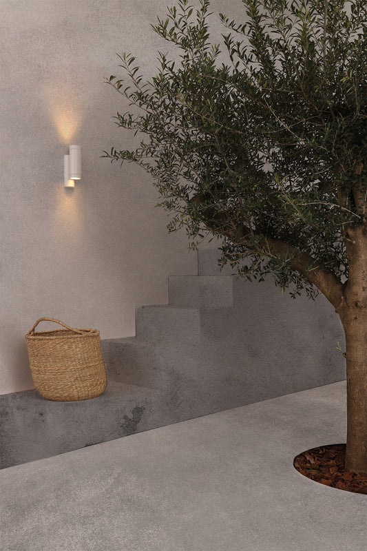 Tree and wicker basket against a gray wall with steps