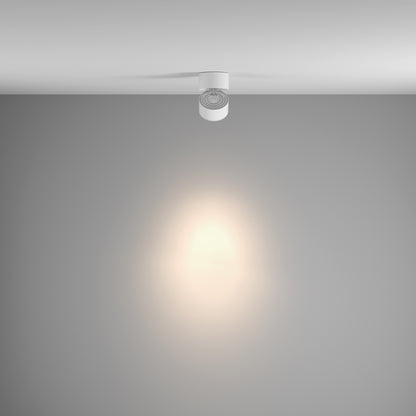 Ceiling luminaire C084CL-15W4K-D-W