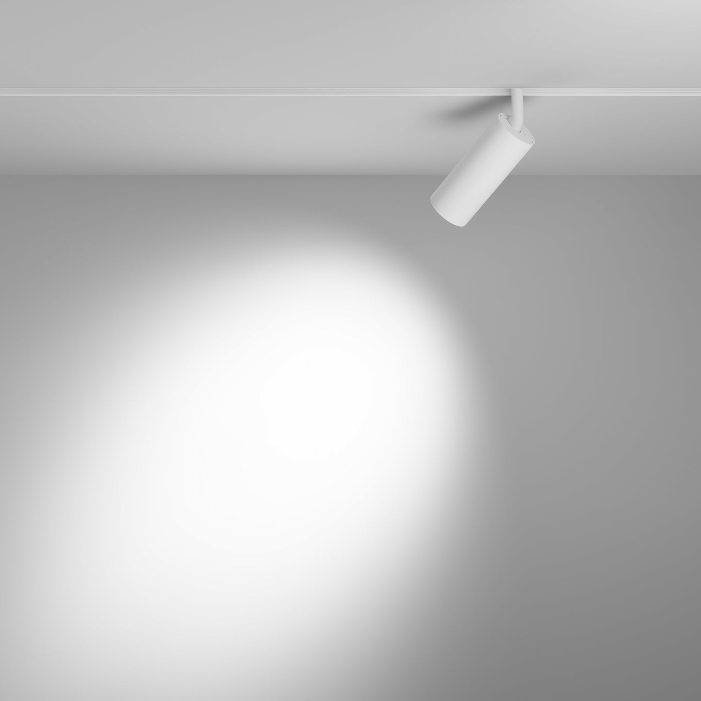 Track luminaire TR032-4-12W3K-S-DS-W