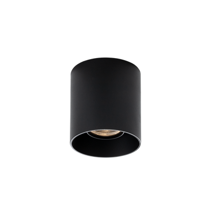 Maxlight C0281 BigFix